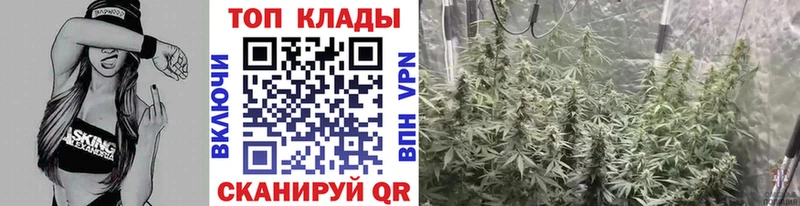 Как найти закладки Каргополь БУТИРАТ ГАШИШ Каннабис СОЛЬ Галлюциногенные грибы