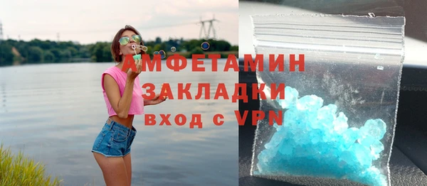 шишки Дубна