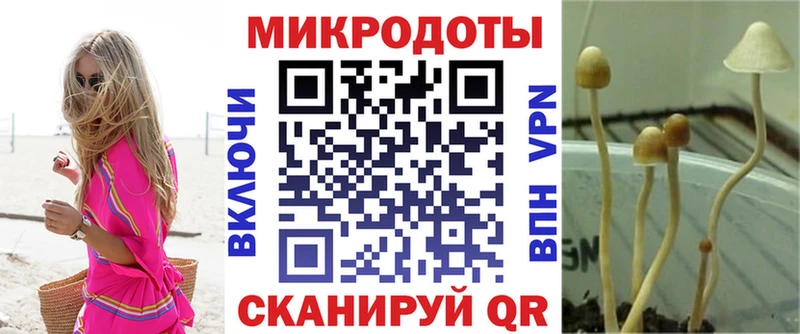 Галлюциногенные грибы Psilocybine cubensis  купить наркотик  Каргополь 
